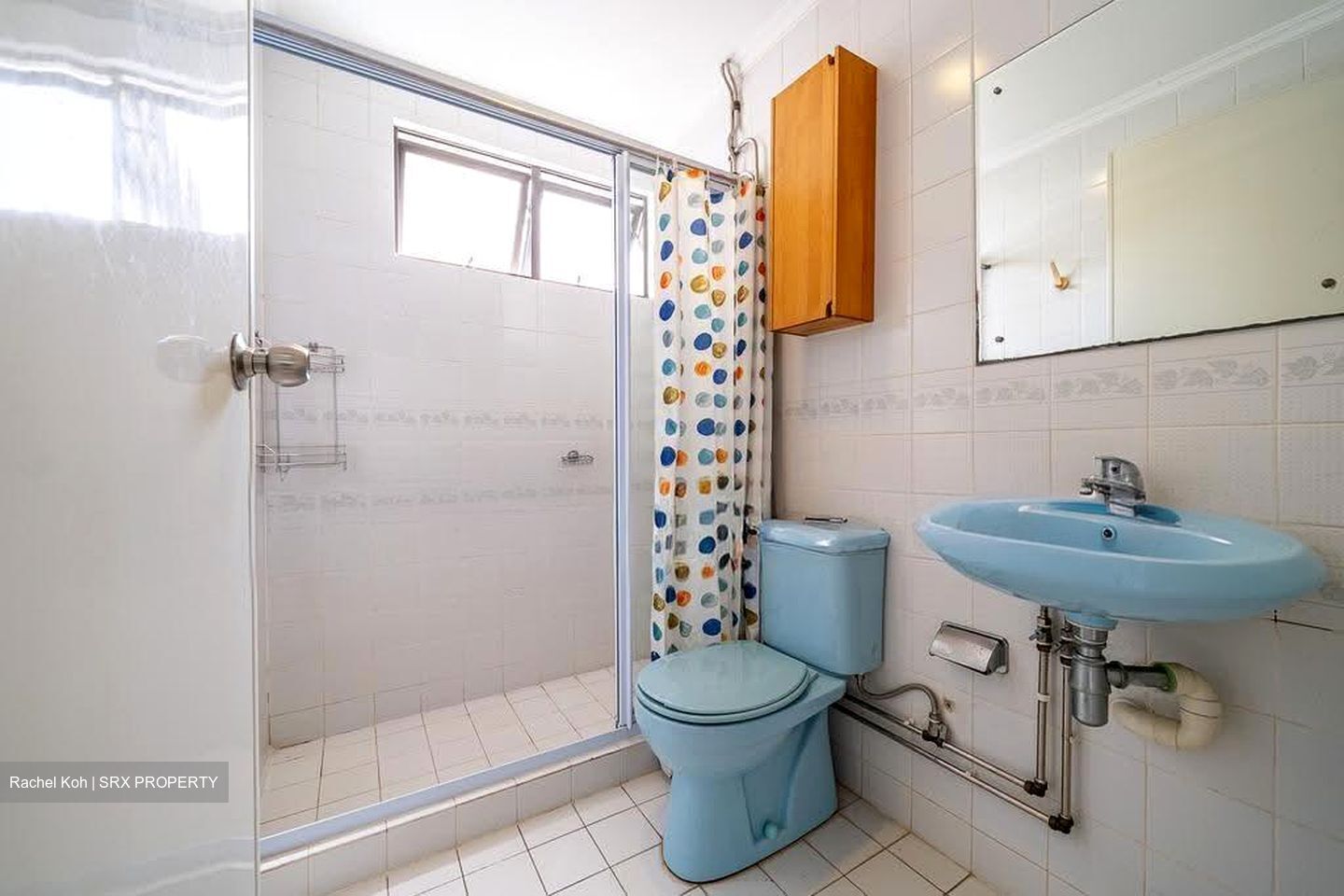 Bayshore Park (D16), Condominium #618948901